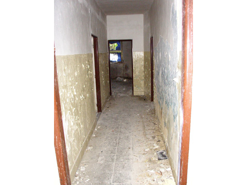 Foto 50